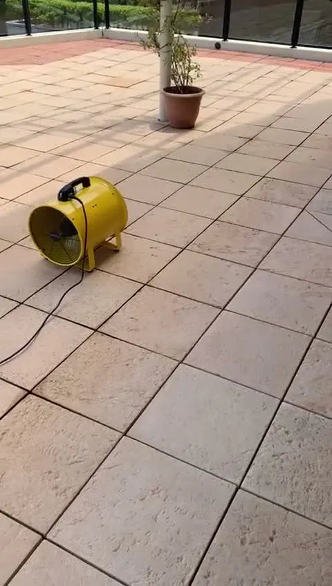Terrace pavers, before and after cleaning
